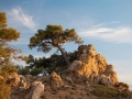Sierra del Segura